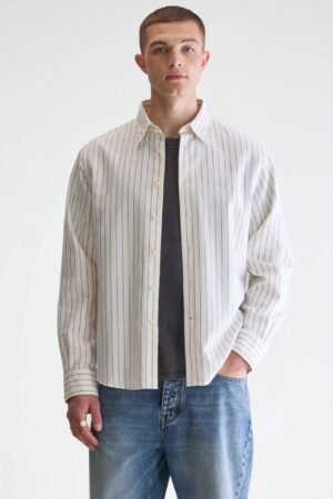 Franklin regular shirt (252 / M / STRIPE F)